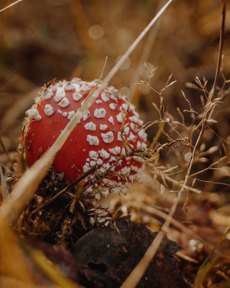 Photograph by Анна Каменева