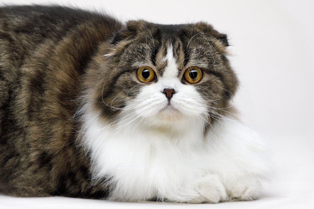 Photograph by Yuri Boichenko