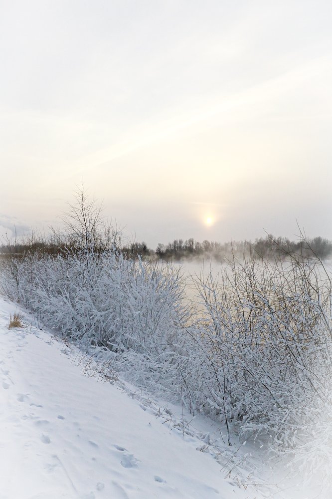 Photograph by Наталья Алексеевская