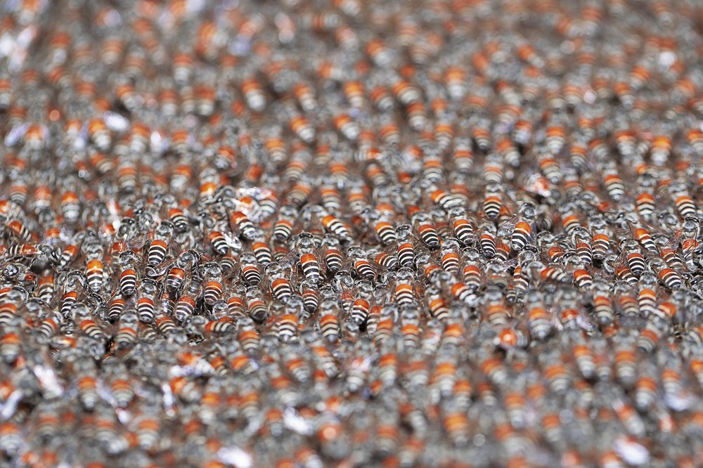 Photograph by Hemraj Chavhan A