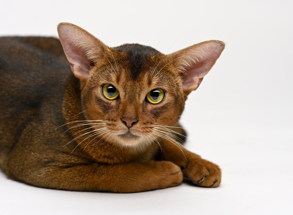 Photograph by Yuri Boichenko