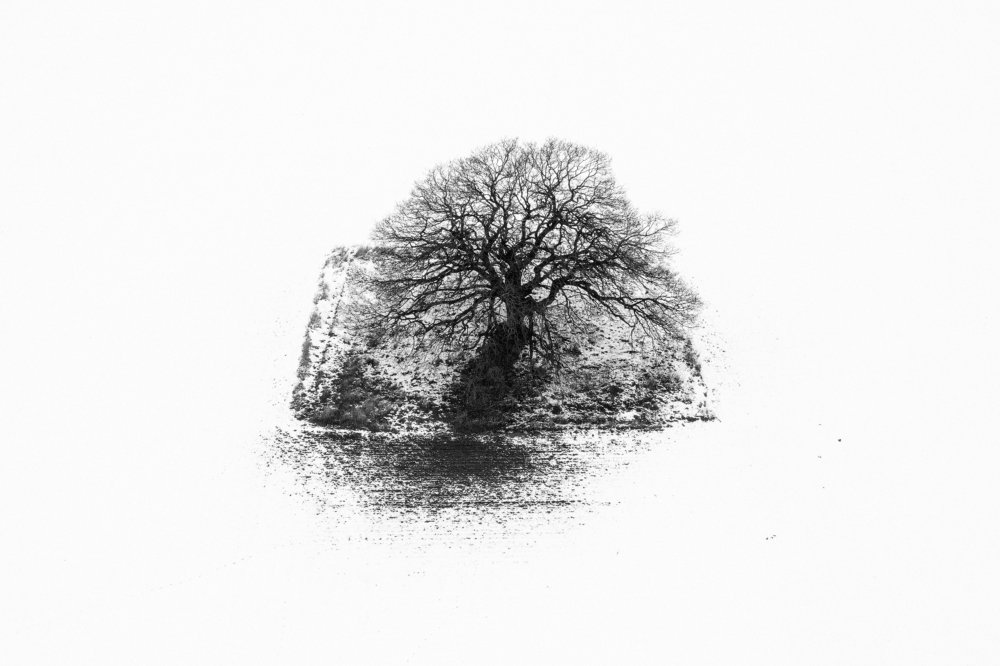 Photograph by Ernestas Balcikonis