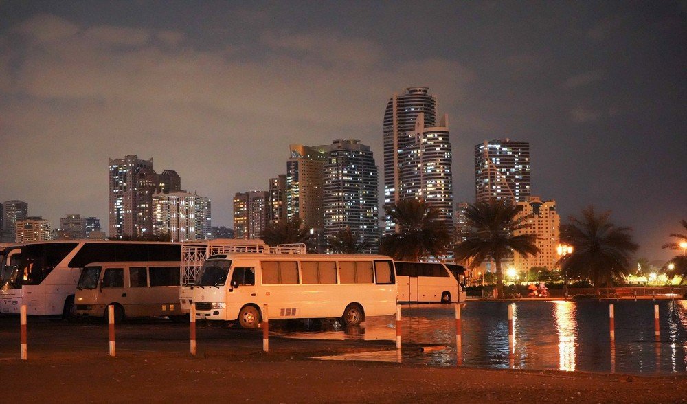 После ливня в пустыне...