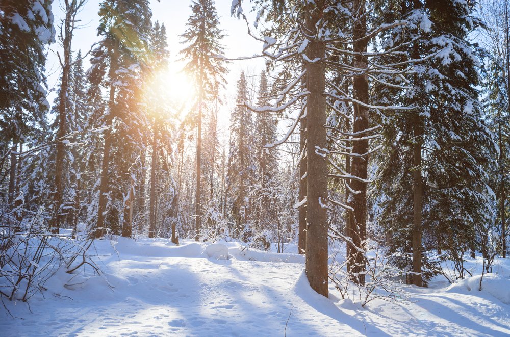 Photograph by Андрей Хаймин