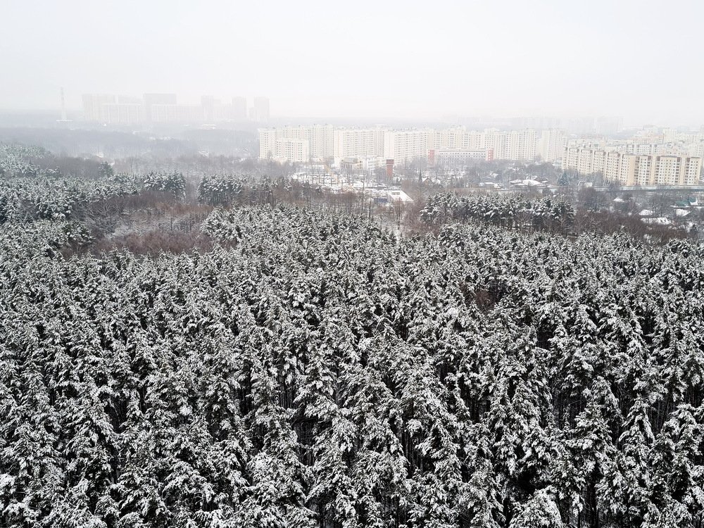 Зимняя сказка