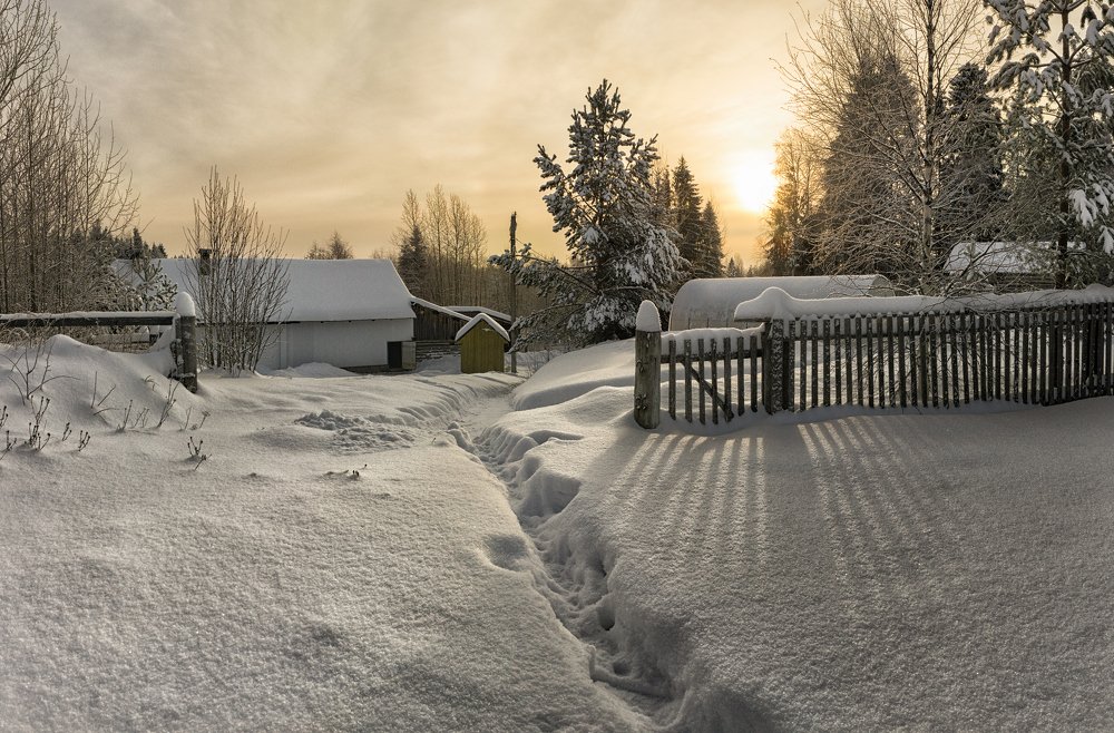 Photograph by Федор Кованский