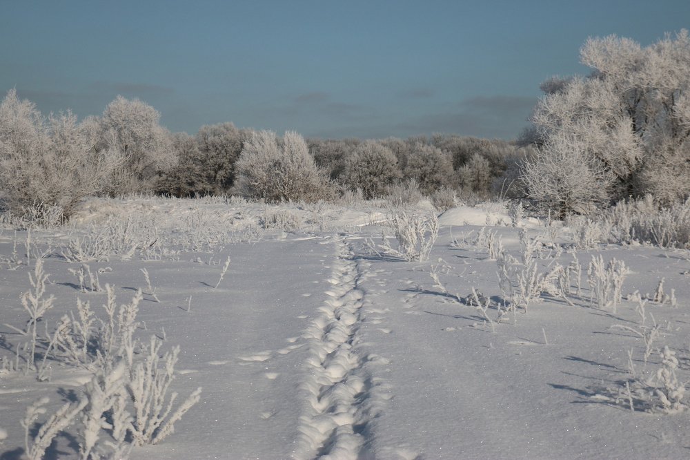 Морозное утро