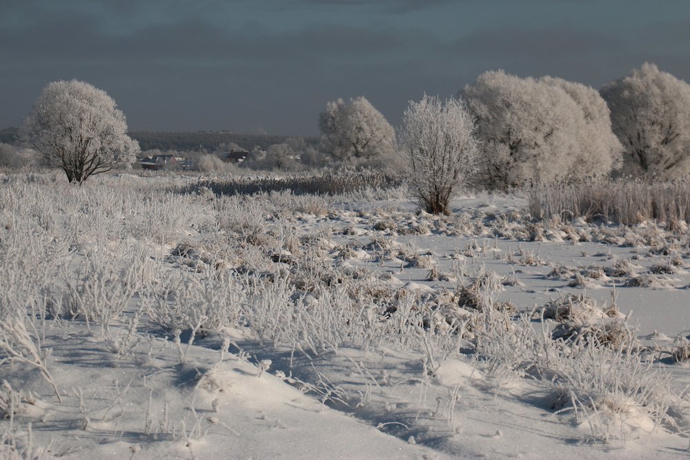 Морозное утро
