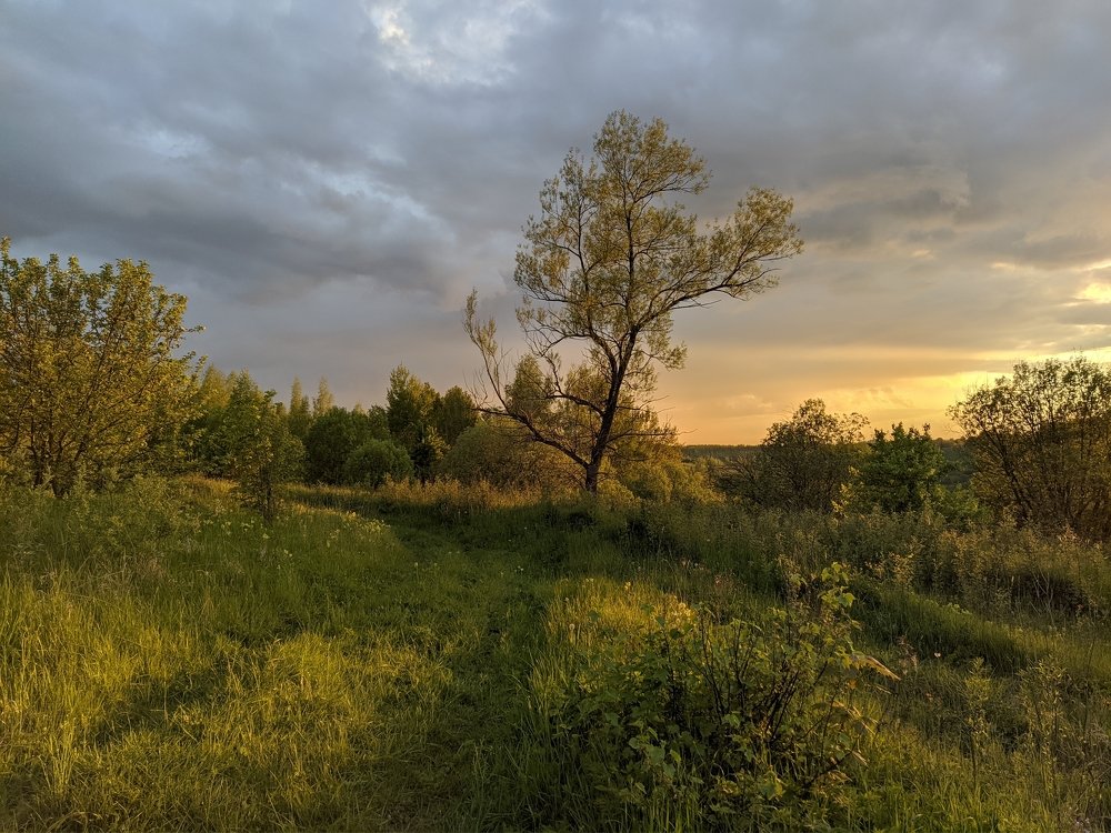 Photograph by Светлана Кондрашова