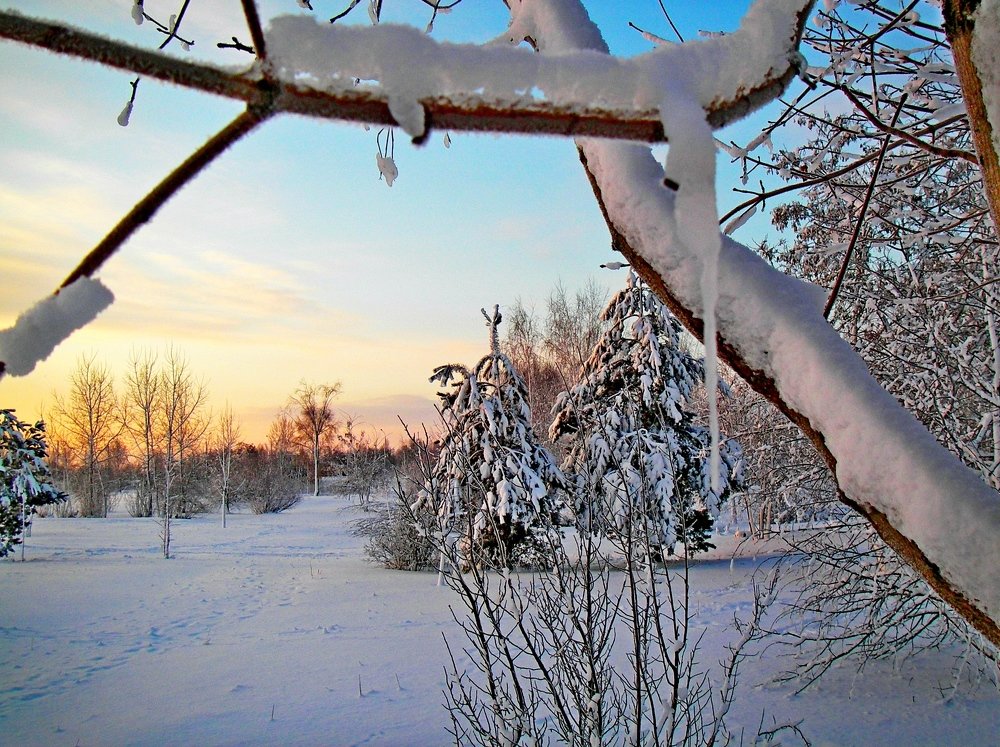 Зимнее утро