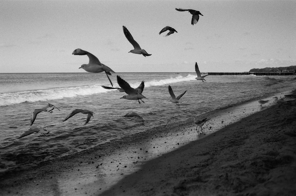 Балтийское побережье на фотоплёнке.