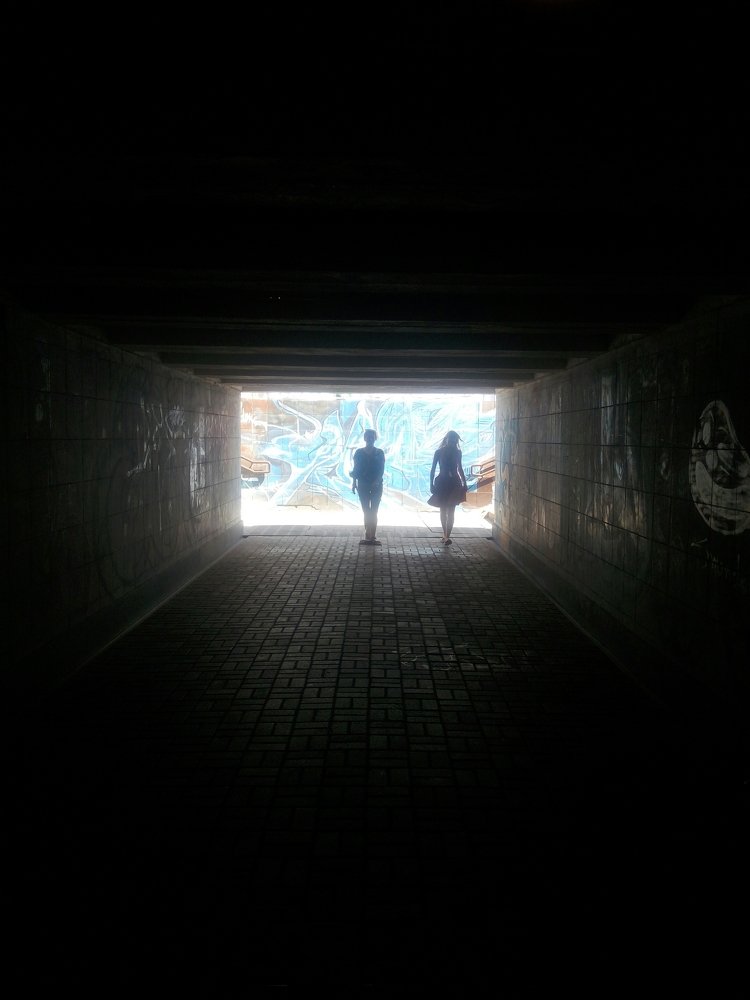 Photo #5502022