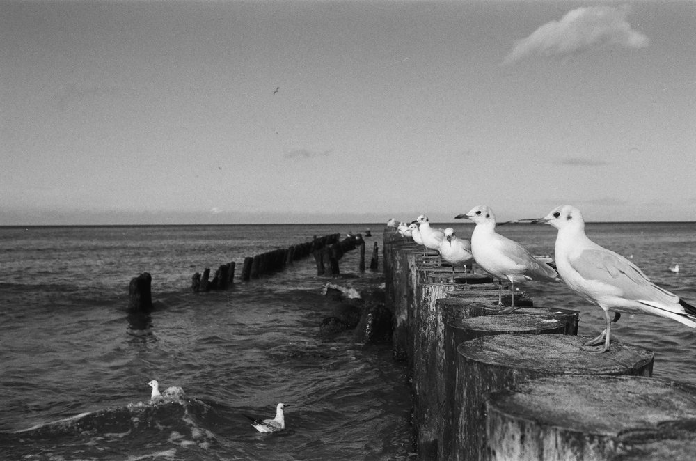 Photograph by Наталия Балыбина