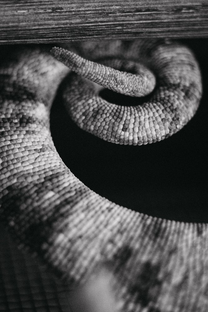 Photograph by Irena Raduga