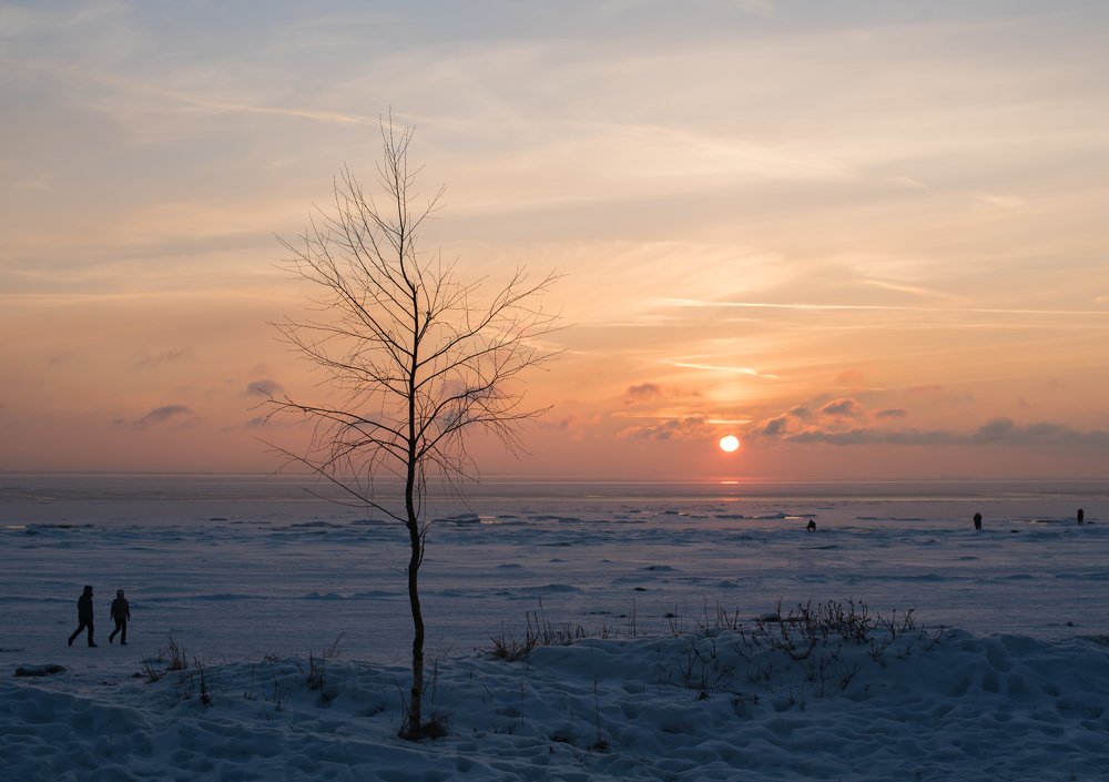 Photograph by Анна Углова