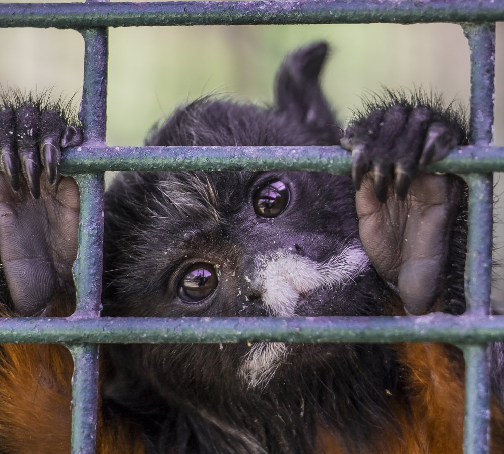 Photograph by Валентина Лопаткина