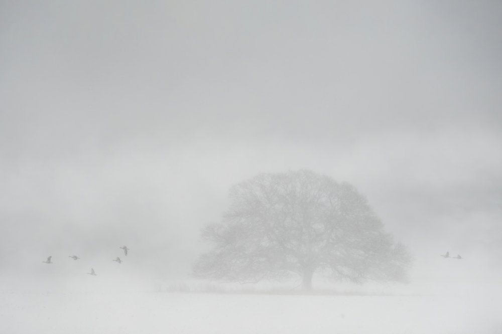 Photograph by Ernestas Balcikonis