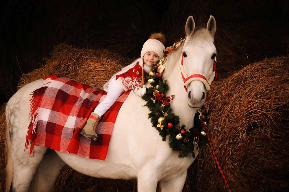 Christmas by the hay