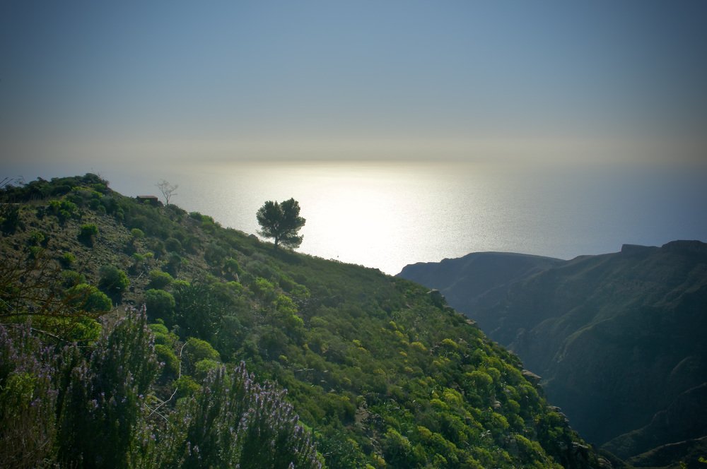 Photograph by Наталья Пирогова