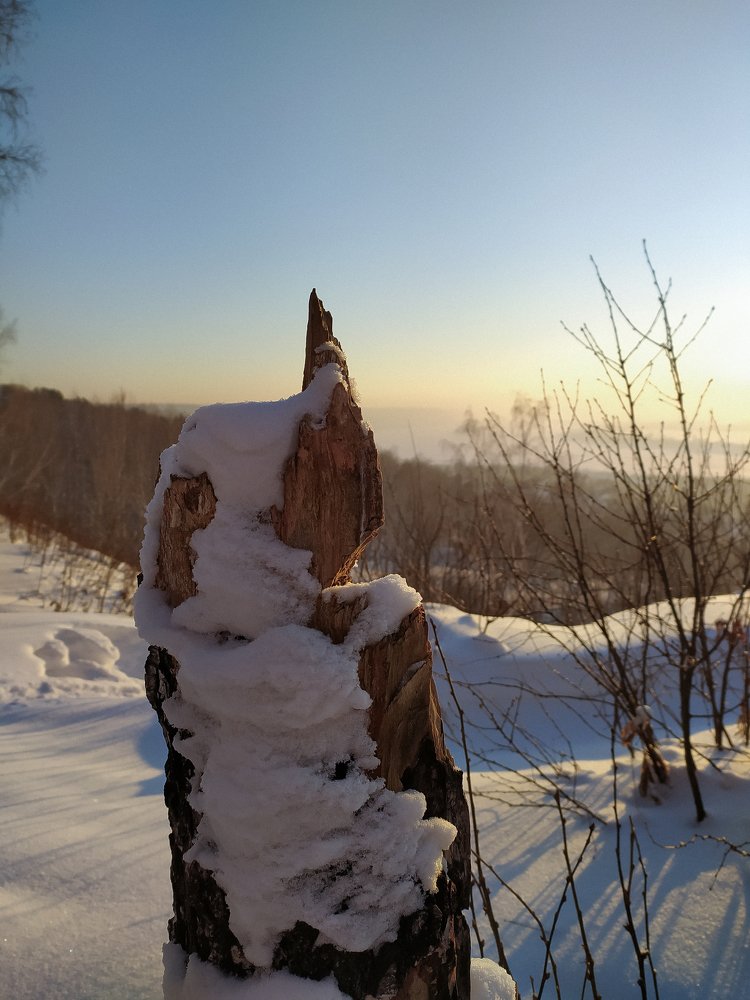 Photograph by Екатерина Зубарева