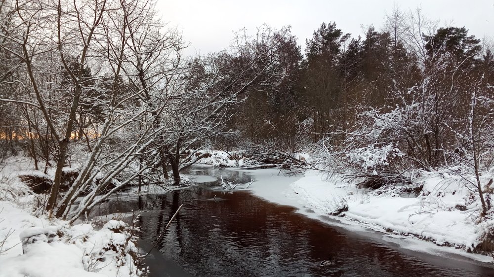 Photograph by Golikova Natalia