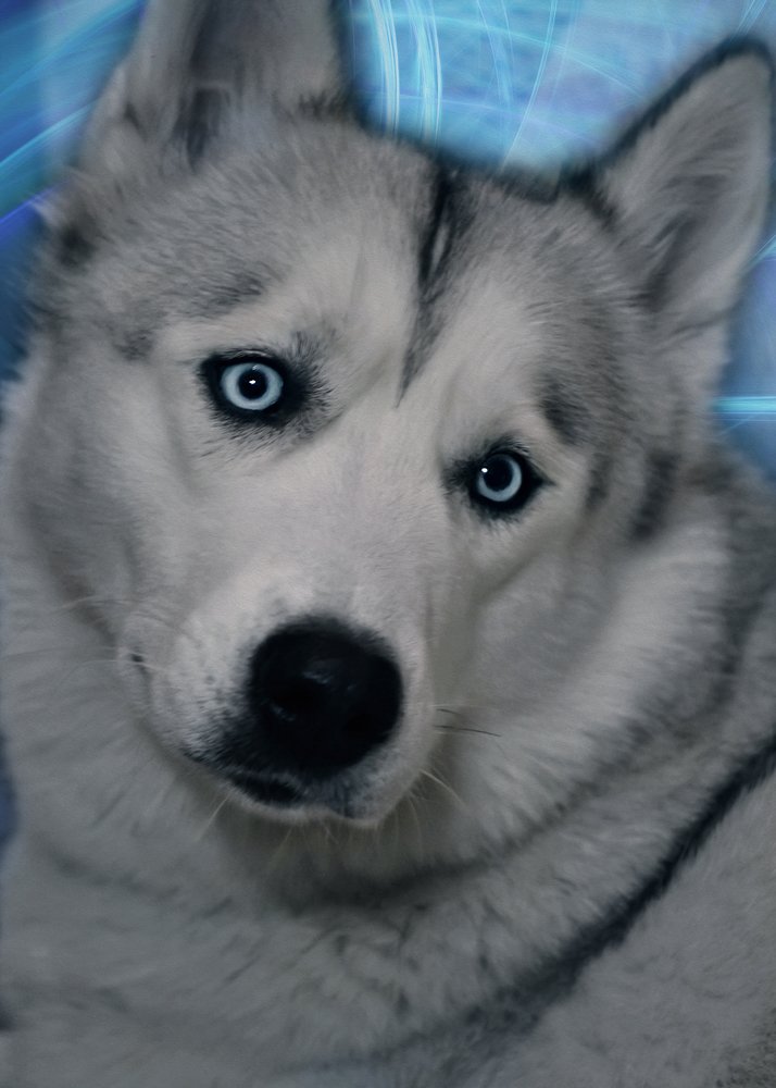 Photograph by Ирина Кленкова