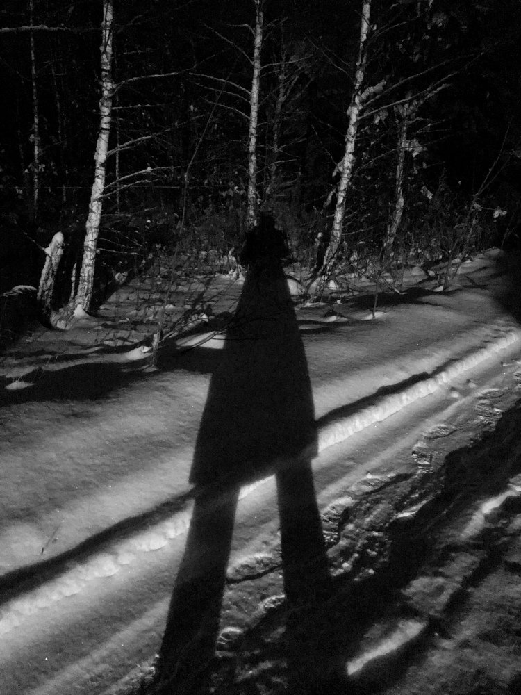 Лесной житель