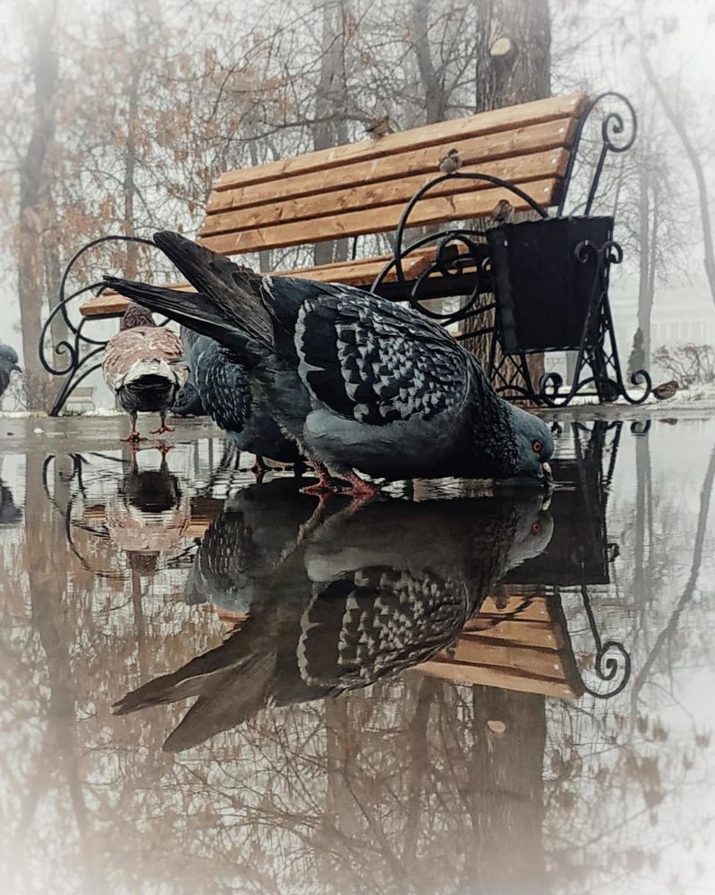 Photograph by Ирина Кузнецова