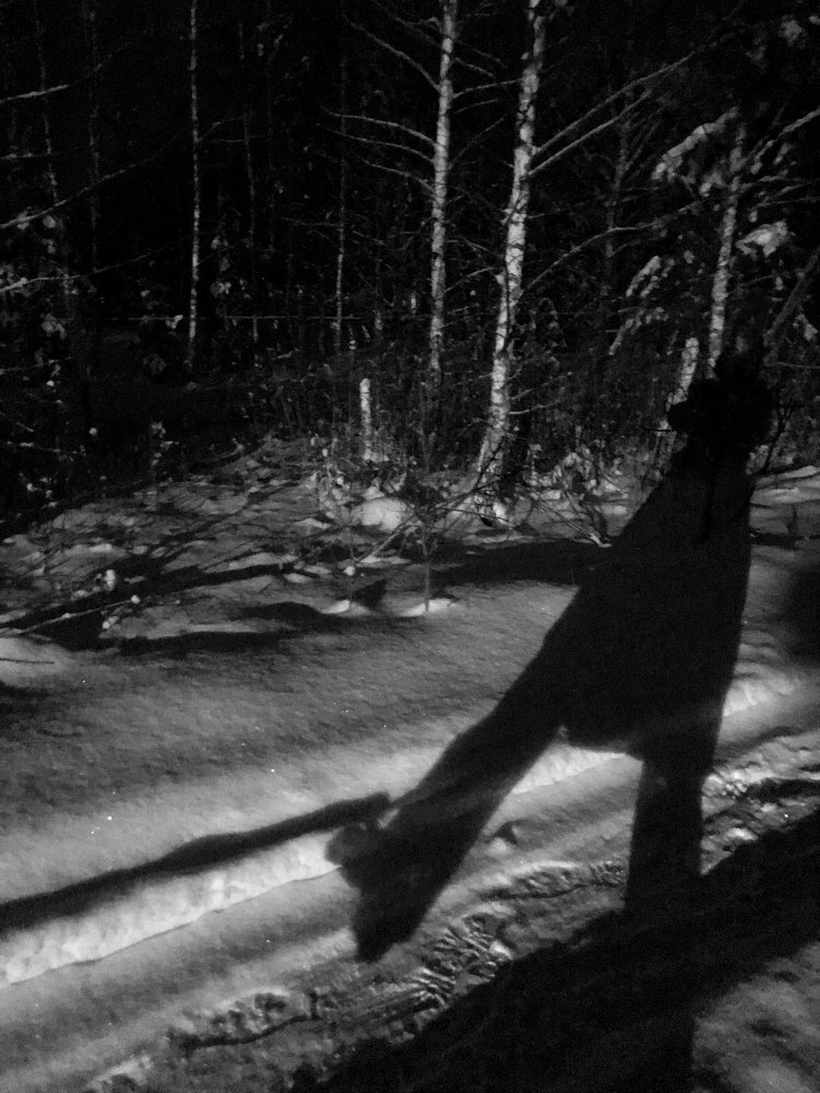 Прогулка лесного жителя