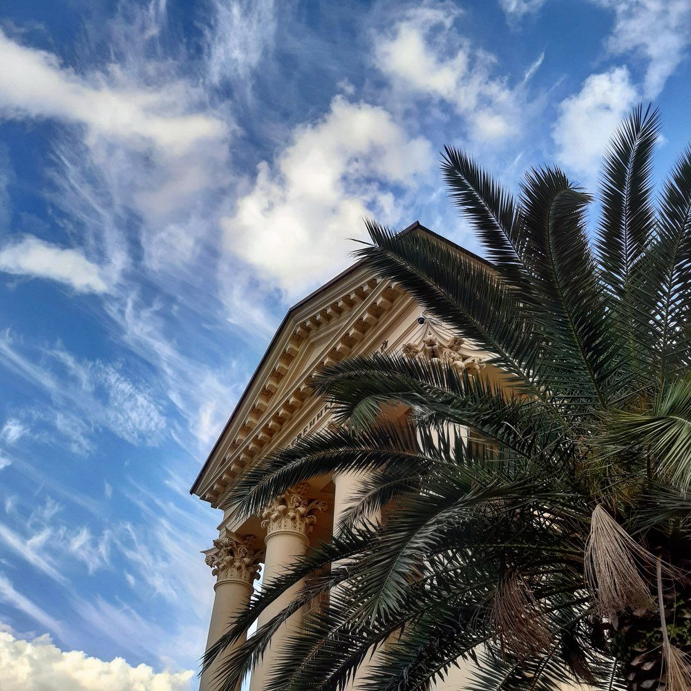 Где-то в Сочи