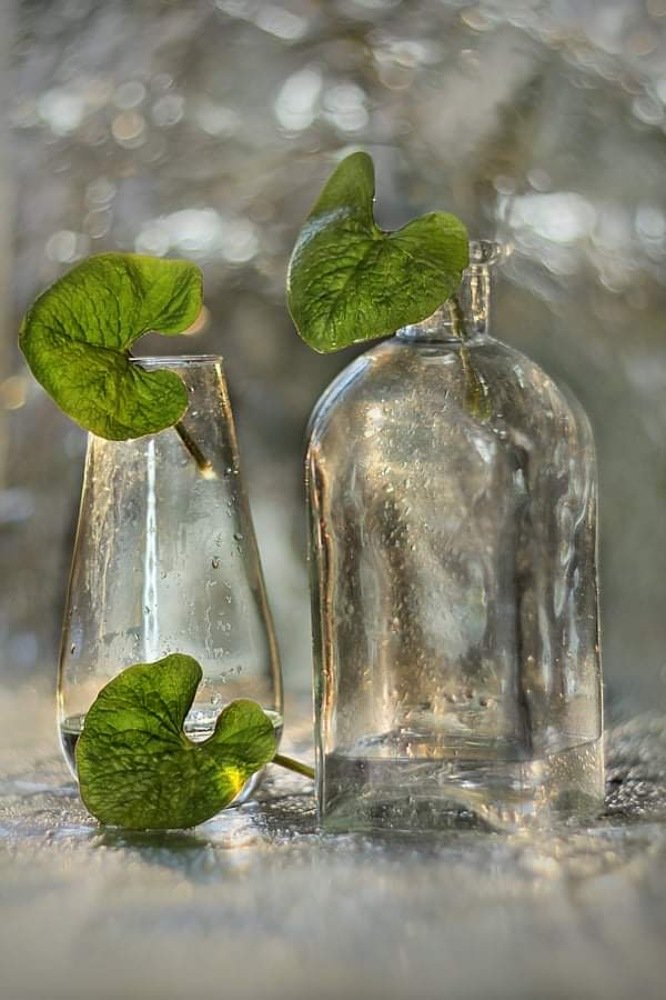 Блестит дождем прозрачное  омытое стекло.