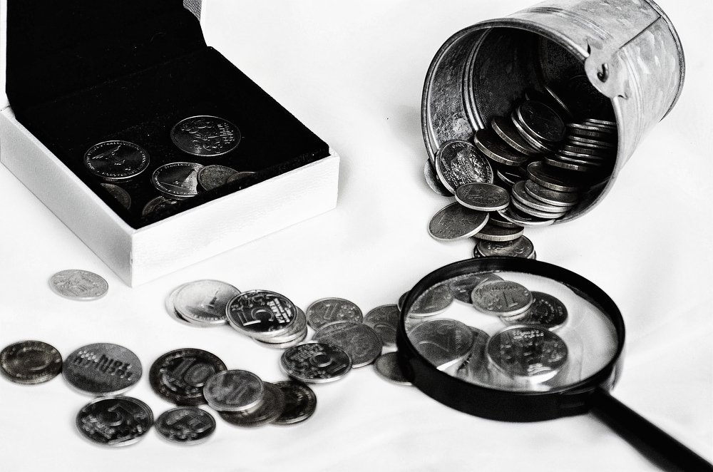 Фотография автора Людмила Куприянова