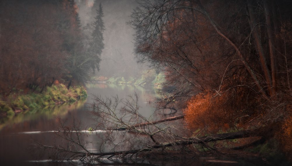 Photograph by Vladimir Golubev