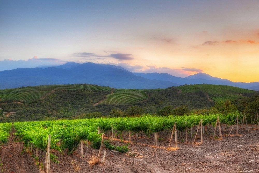 Photograph by Стас