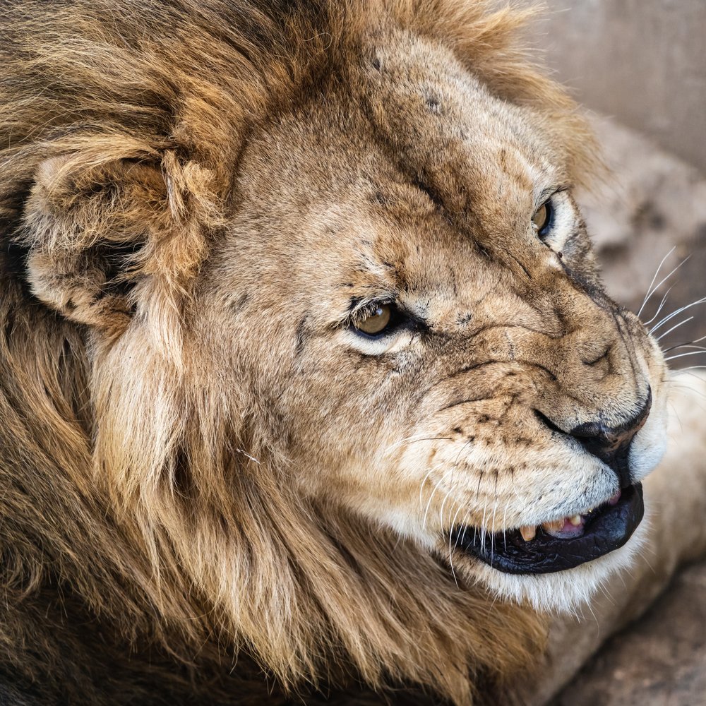 Photograph by Oleksandr Troitskyi