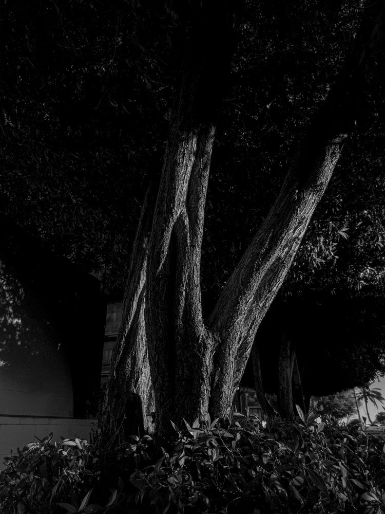 Photograph by Morteza Ghanbari