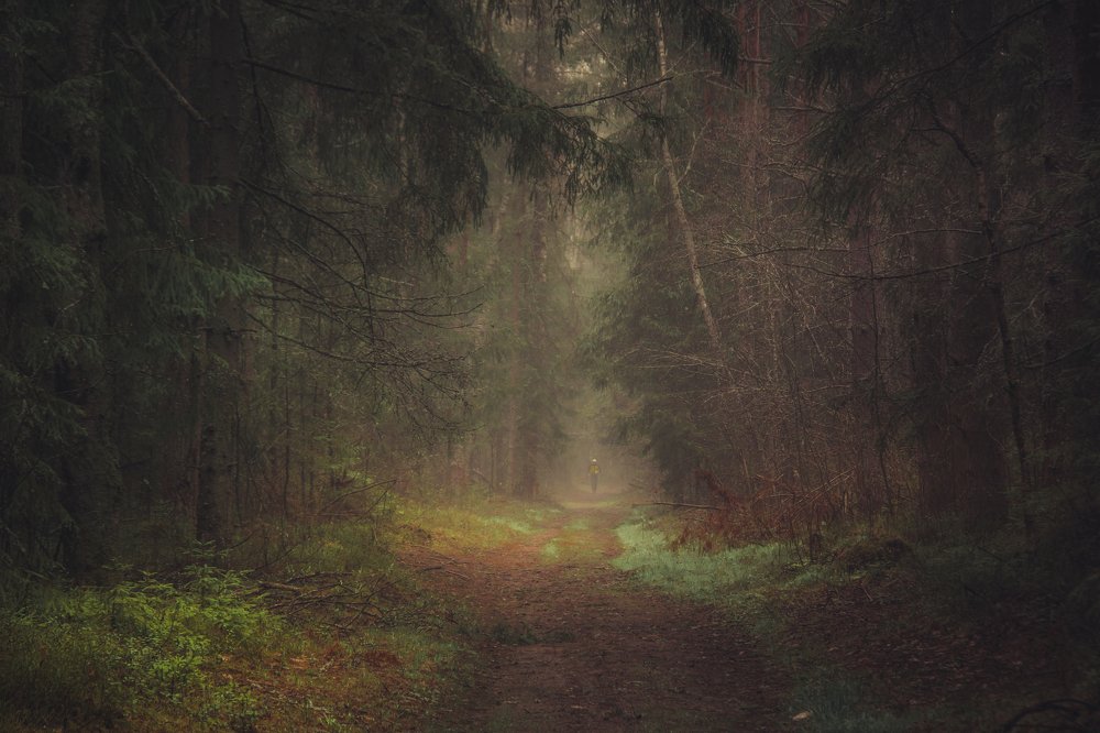 Photograph by Vladimir Golubev