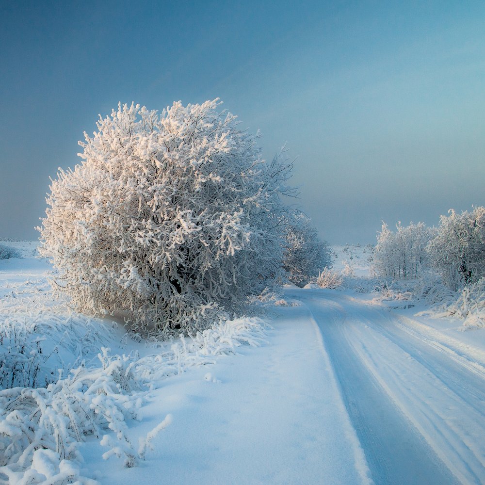 Фотография автора Панагушин Сергей