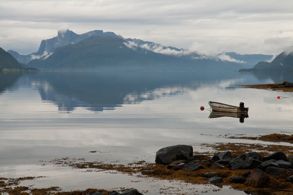 Photograph by Бабкина Юлия