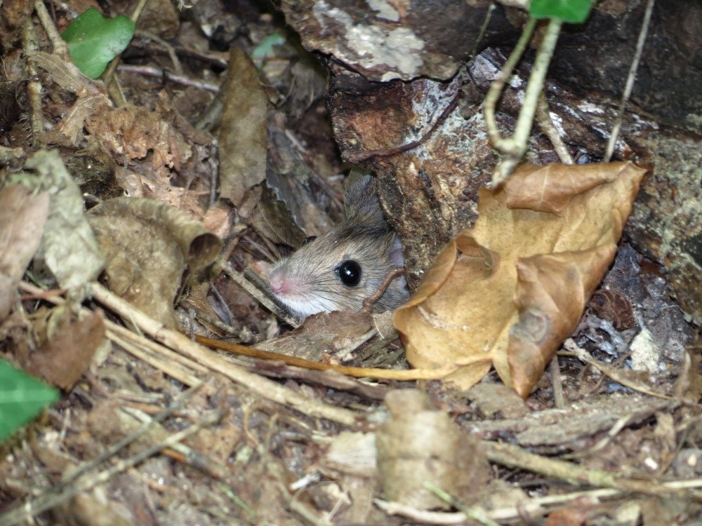 Photograph by Иван Скрипкин