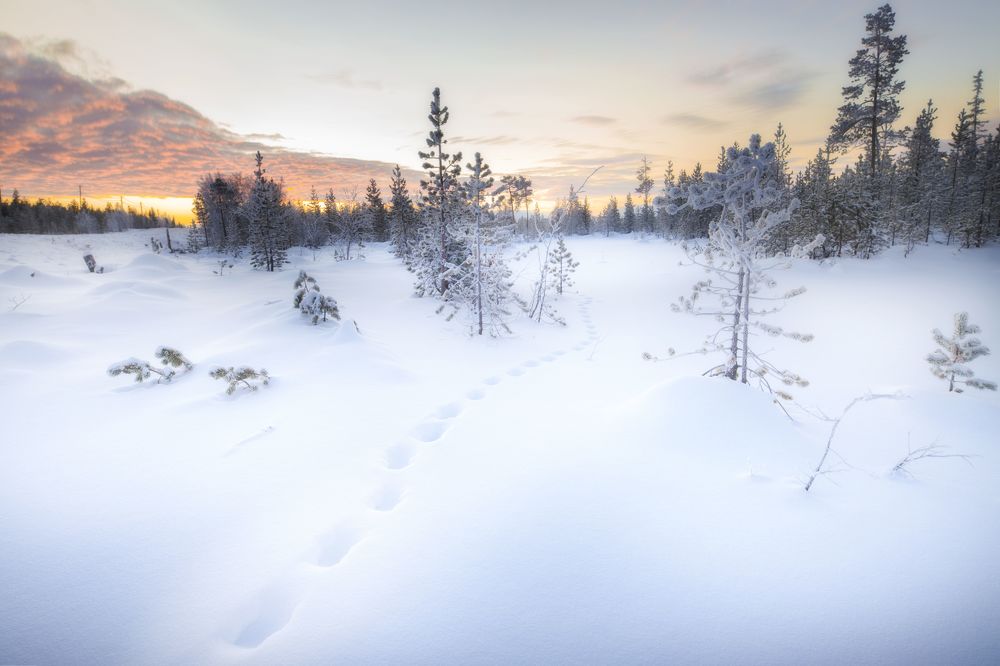 Photograph by ОЛЬГА КОВАЛЁВА