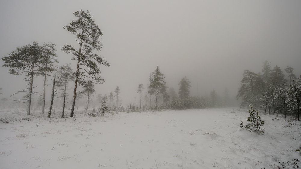 Photograph by Олег Иваницкий