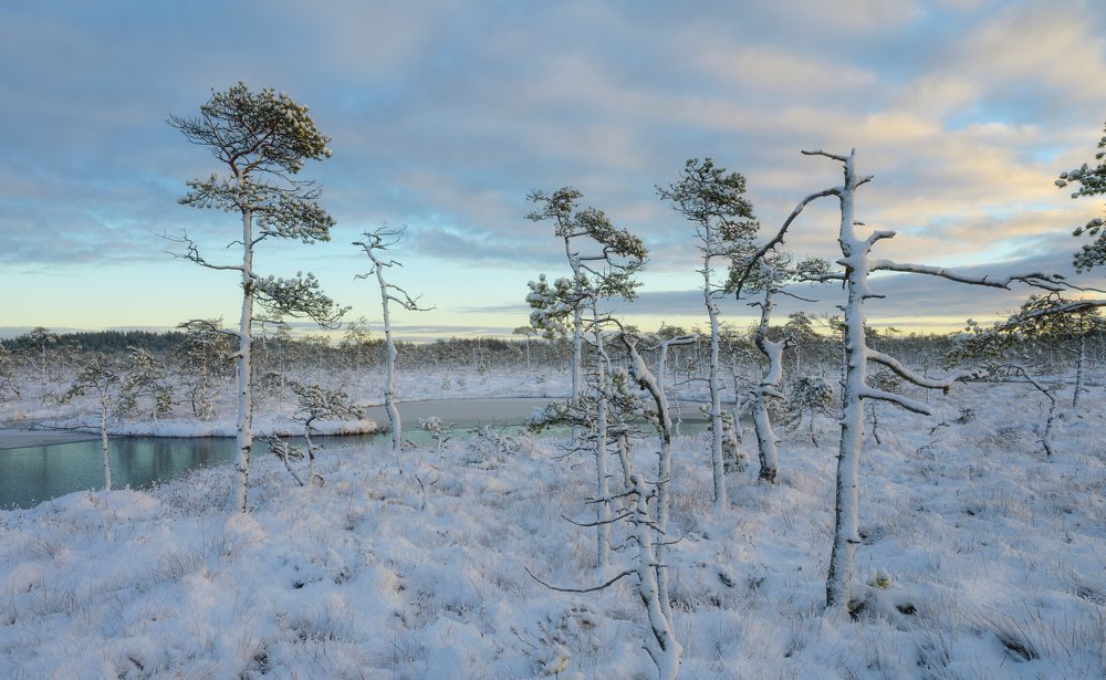 Photograph by Олег Иваницкий