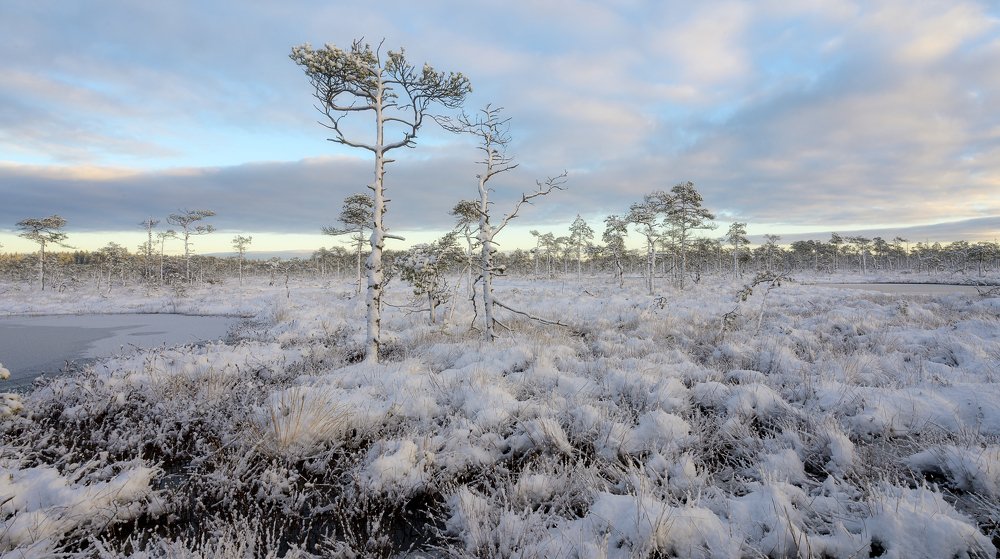 Photograph by Олег Иваницкий