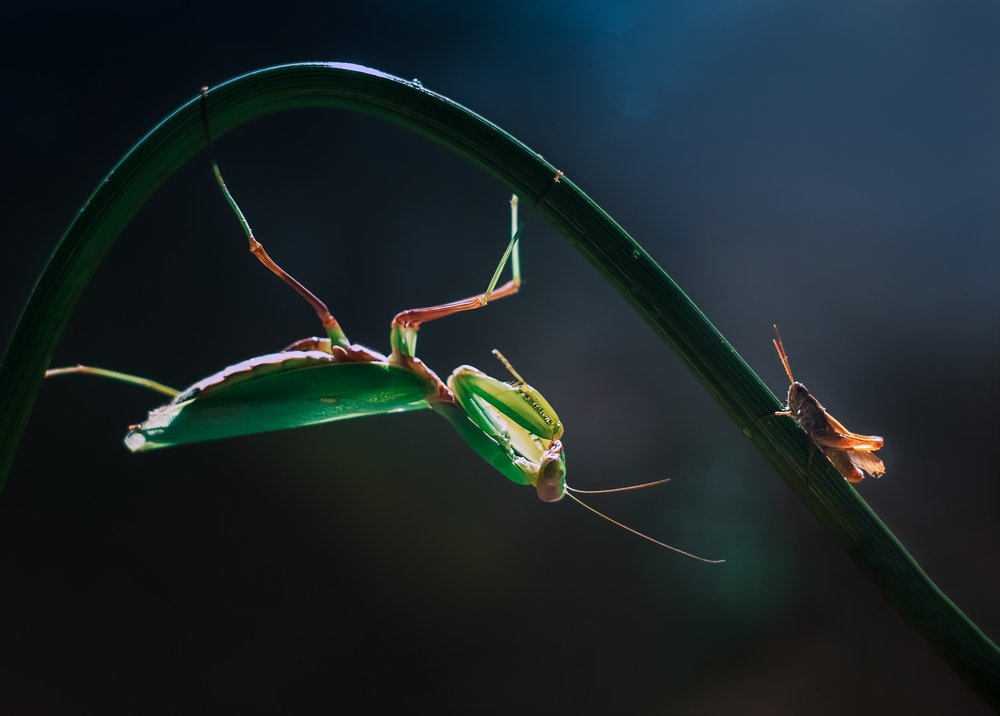 Photograph by Юлия Яремко