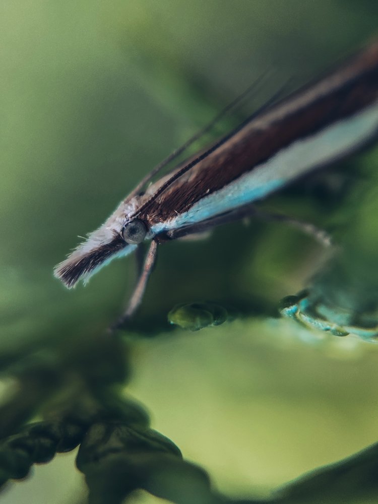 Photograph by Мария Фак