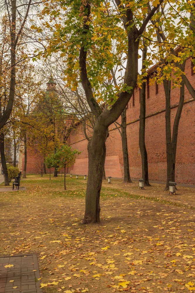 Photograph by Переслегин Александр