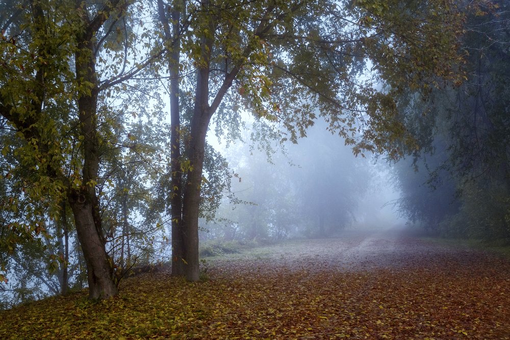 Photograph by Giuseppe Galli