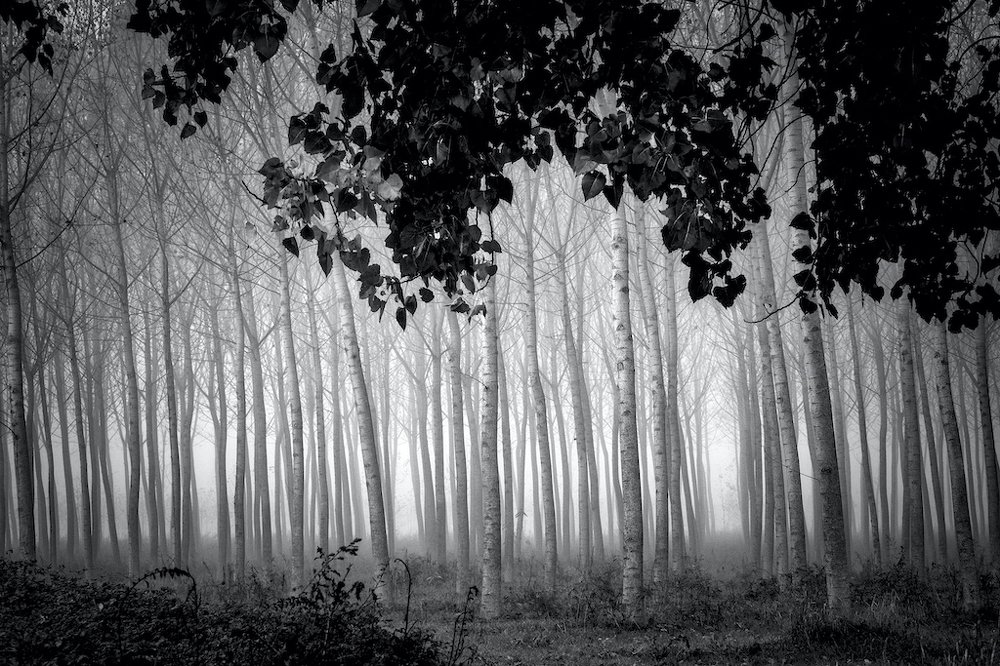 Photograph by Giuseppe Galli