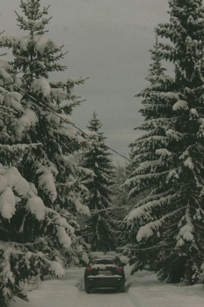 Photograph by Яна Гимадиева